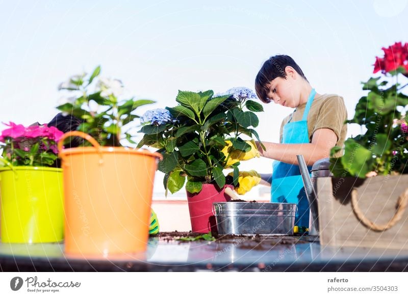 Young teenager wearing a gardener apron while gardening at terrace in a sunny day 1 two shovel care green flowerpot soil nature cultivate flora girl home