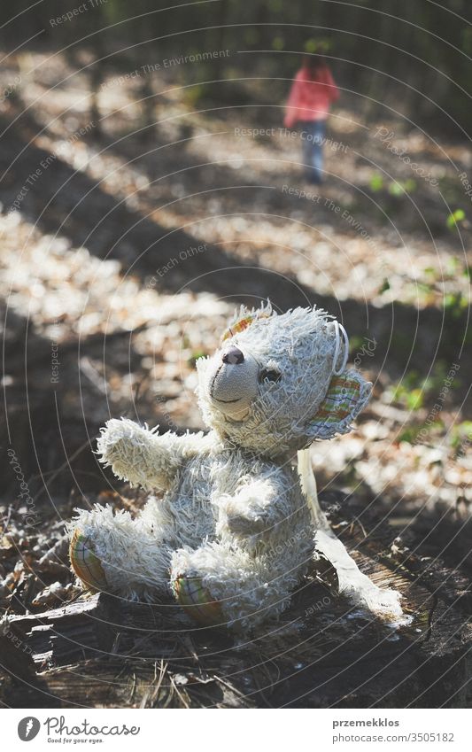 Little girl child walking away left forgot teddy bear on stump in a forest during a trip kid nature little childhood park person countryside natural outdoors