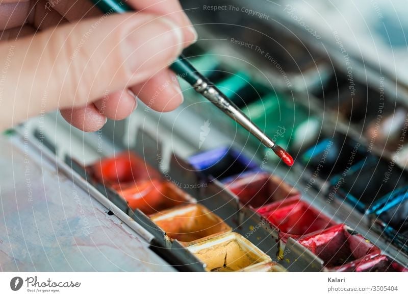 Hand holds brush over watercolor and takes up red paint Watercolors by hand Colour Mix Art Artist pallet close up Paint mix Painting (action, artwork) Red green