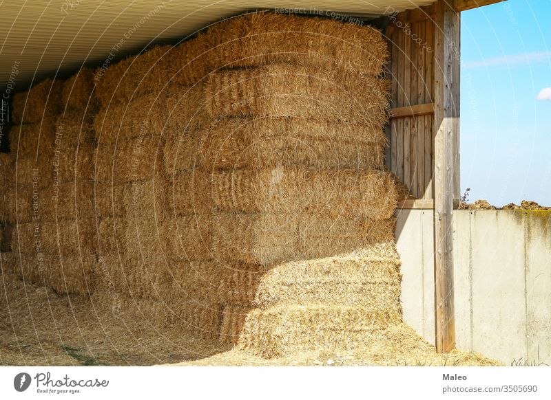 Straw in bales under a wooden canopy agricultural agriculture countryside farm harvest haystack land nature season straw summer crop farming field food gold