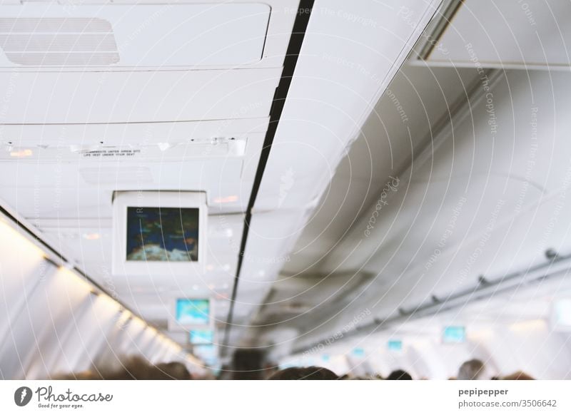 Aircraft cabin Airplane Aviation Sky Flying Vacation & Travel Colour photo Travel photography Tourism Blue White Interior shot air traffic In the plane