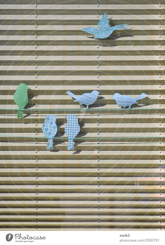 Parallel Society decoration Door Screening Paper handicraft birds Sit Flying chat in common Sunlight Shadow variegated Blue Green Beige Subdued colour Detail