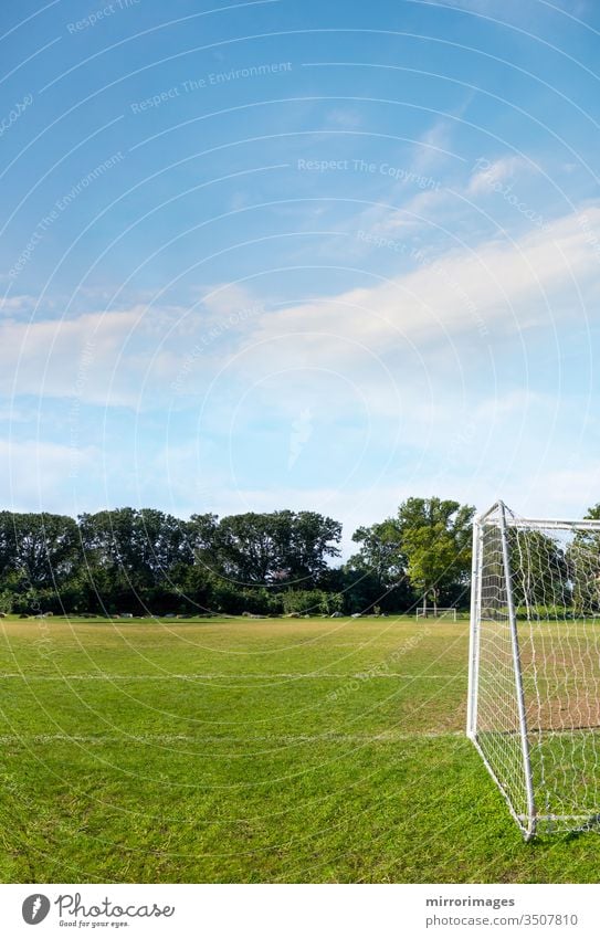 american soccer, European football, feild with net and green grass soccer field competitive sport lawn textured pattern sports member line color ground