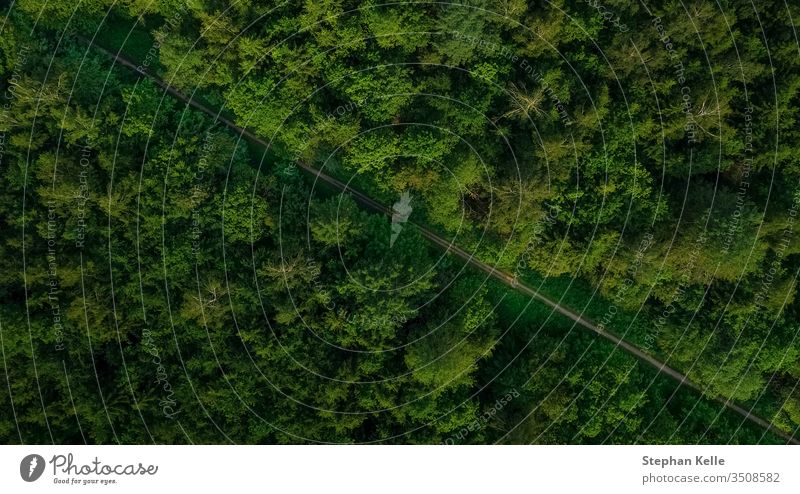 aerial veiw of empty road in green forest. drone shot. above diagonal natural background landscape way beautiful nature outdoor summer travel tree vertical