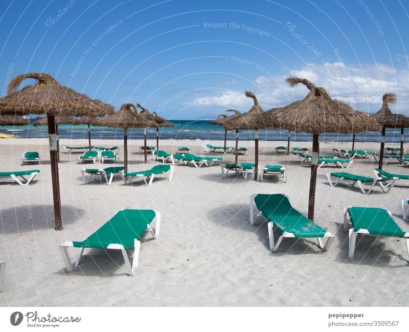 empty beach with green sun beds and brown parasols a Royalty