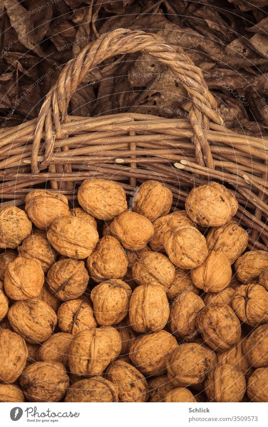 Close-up of walnuts in a wicker basket with handle in front of dry walnut leaves Walnuts Wicker basket Walnut leaves Basket Autumn Harvest Juglans regia fruits