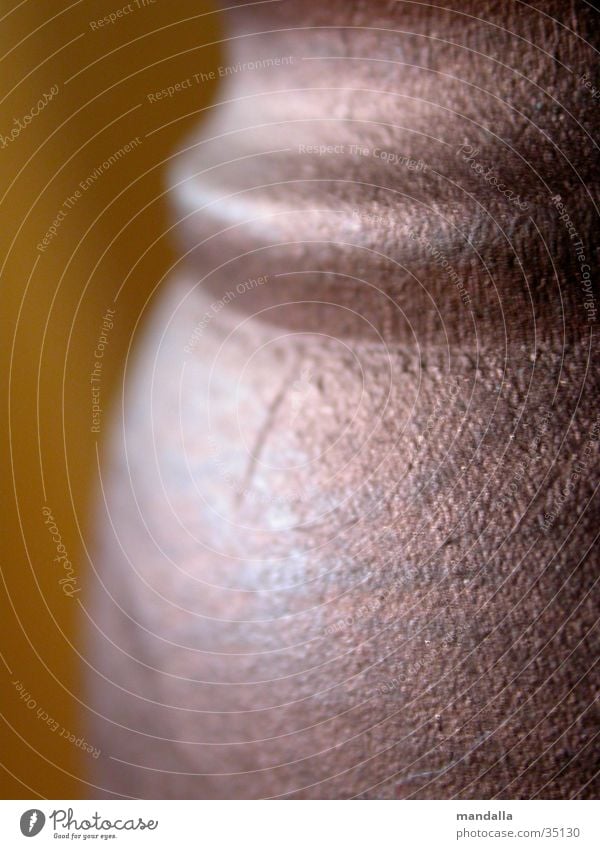 shelf base Shelves Wood Brown Glittering Round Macro (Extreme close-up) Close-up Feet Detail