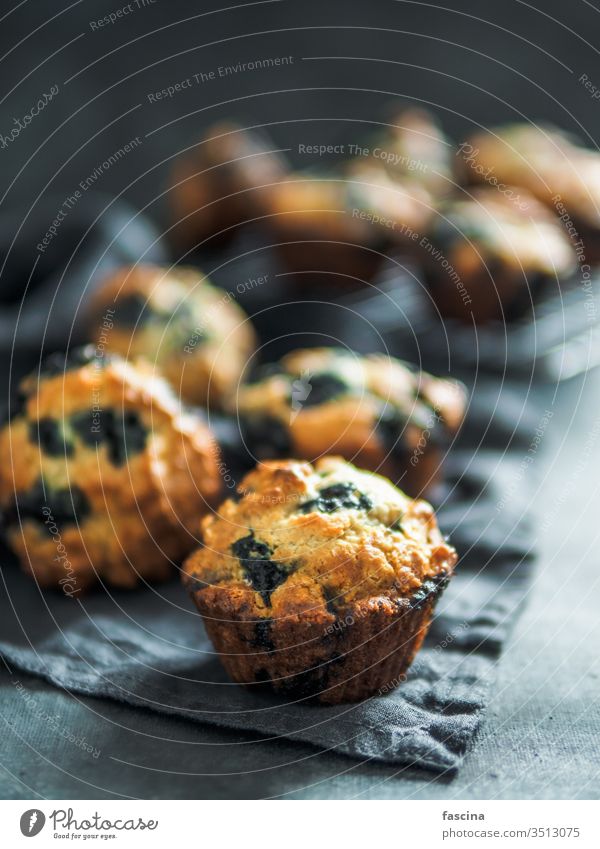 Homemade blueberry muffins on dark background. low calories homemade blueberries muffins nobody top view above vertical food dessert cake snack sweet pastry