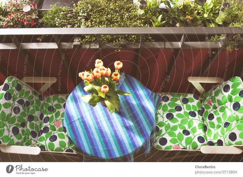 Small colourful balcony with table and chairs in bird's eye view Balcony Flower vase Bird's-eye view flowers Corkscrew Summer Sun Table tulips spring Bouquet