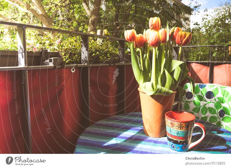 flower vase and coffee cup on the balcony Flower vase tulips Coffee cup Balcony Sun variegated Table tablecloth green spring Deserted Colour photo Tulip Bouquet