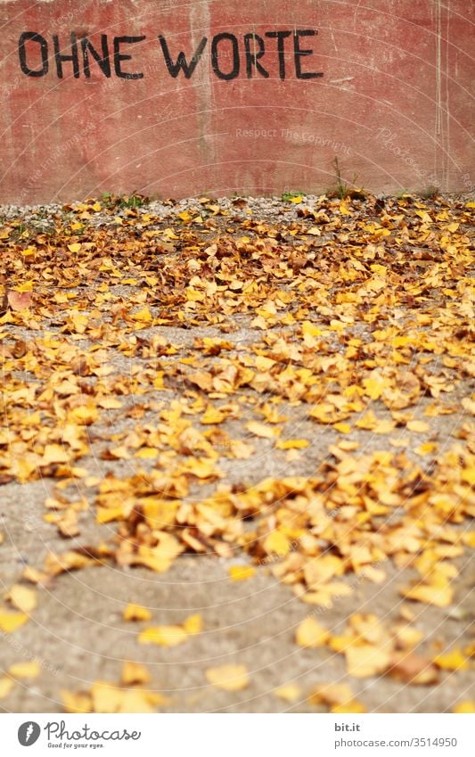 Letters, text, lettering: without words, are written on a pink wall of concrete, in the foreground are yellow leaves in autumn, on the floor. Autumn speechless