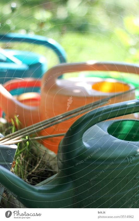 Many colourful plastic watering cans, standing decorative and ready to hand, ready for watering, outside in the green meadow at home in the garden, in spring, summer. Illuminated by the sunlight, the beautiful weather, the cutout is beautiful and decorative.