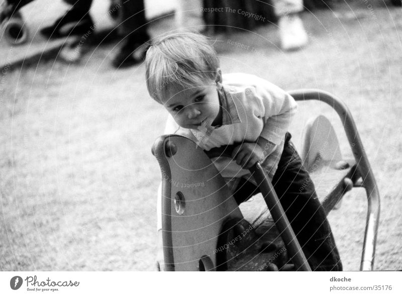 cavalier Playground Horse Toddler Playing Man Boy (child)