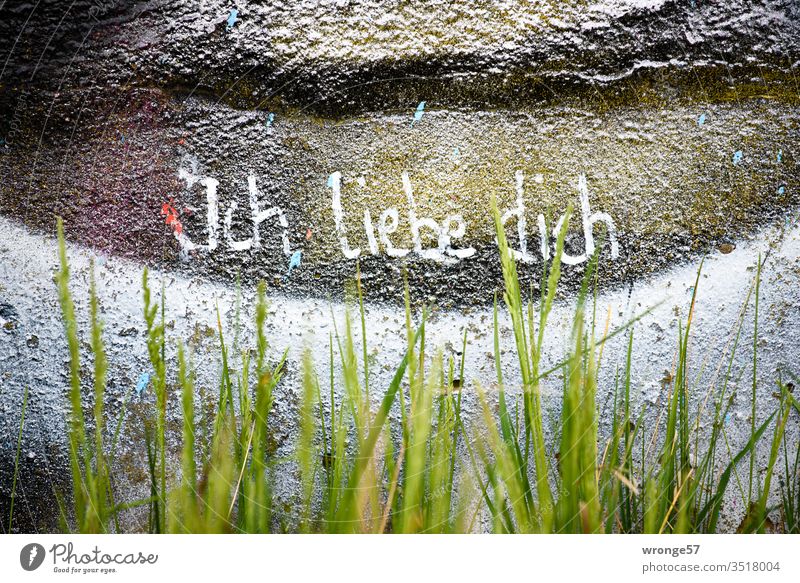 Behind green grass is written with white paint I love you on a graffiti painted wall Graffiti writing Love white color Wall (building) Wall (barrier) Emotions