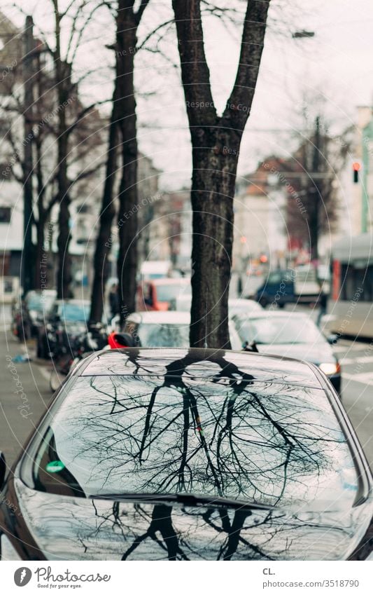 car and tree Reflection Slice Window pane Glass Colour photo Pane Traffic infrastructure Means of transport Transport Parking Parking lot Town Lanes & trails