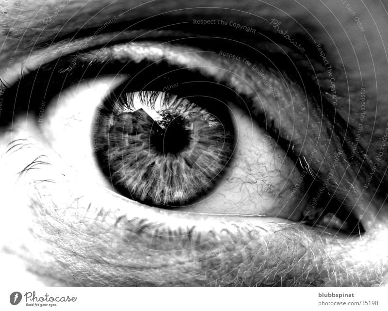Anja's eye Pupil Woman Eyes Detail Macro (Extreme close-up) Black & white photo Iris Looking into the camera Eyelash Women's eyes