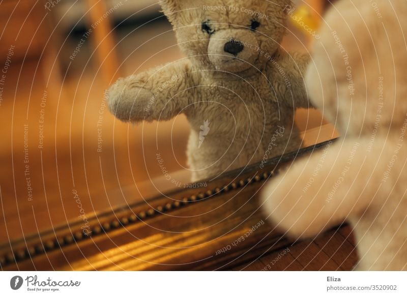 A teddy bear looking at his reflection in the mirror Teddy bear Mirror image Infancy Ground Toys cuddly toy Shackled Playing Bear Brown Loneliness by oneself