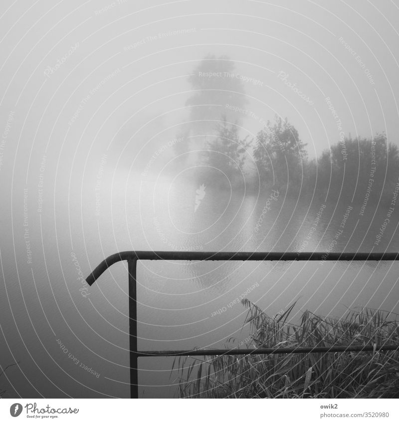 vanishing Lake foggy Foggy landscape Landscape Nature Exterior shot Deserted Morning Calm Idyll Mysterious Handrail Protection Plant huts Diffuse mist soup