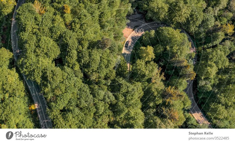 Curving road through a green forest photographed from above with a drone. Street Forest aerial Aerial photograph Bird's-eye view Nature Summer Day Landscape