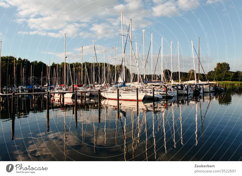 Sailboats in a small harbour in the evening light Sport boats Harbour Sailing Water Sky Clouds Pole Evening reflection Baltic Sea Yacht Yacht harbour