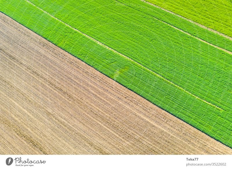 an agricultural landscape texture from above agricultural way tractor tractor path field background meadow background air aerial view aerial photo grass farm