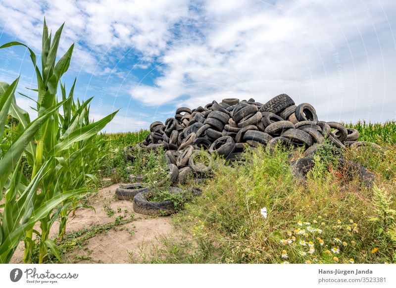 Old broken car tires, piled up in a cornfield to form a mountain Black Blue Broken Car Maize Damaged Dirty Environment Farm Field Trash border Heap means