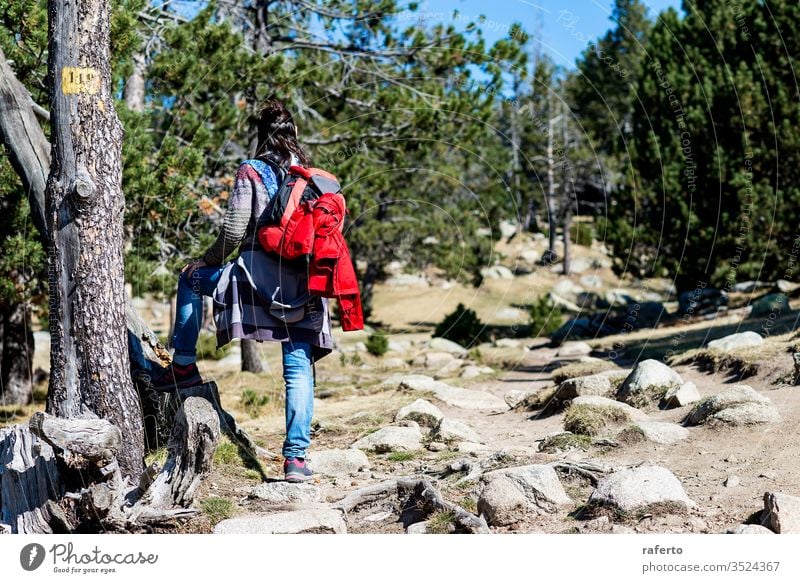 Rear view of a backpacker woman standing in a forest trail while looking away hiker contemplation tourism freedom person traveler pensive outdoor mountain 1