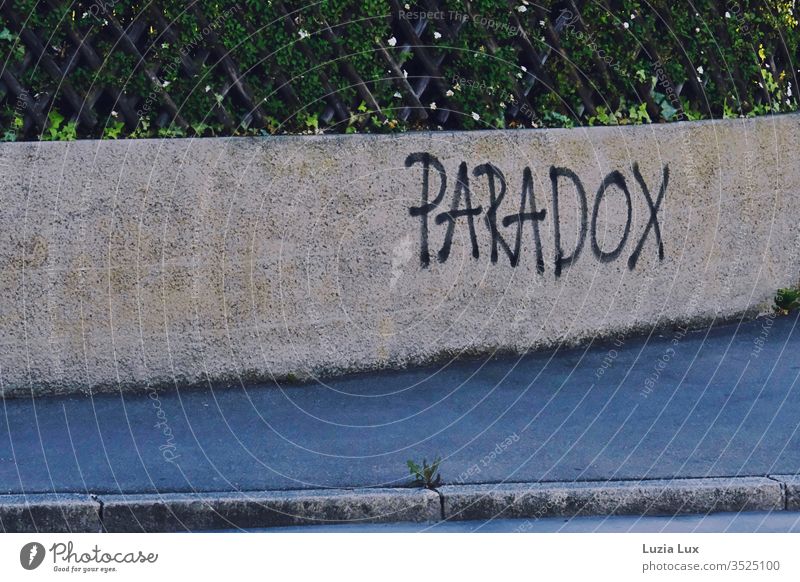 Paradox - graffiti on a wall, above it a picket fence and green Graffiti Wall (building) Street off Sidewalk lattice fence Fence Suburb dreariness Town urban