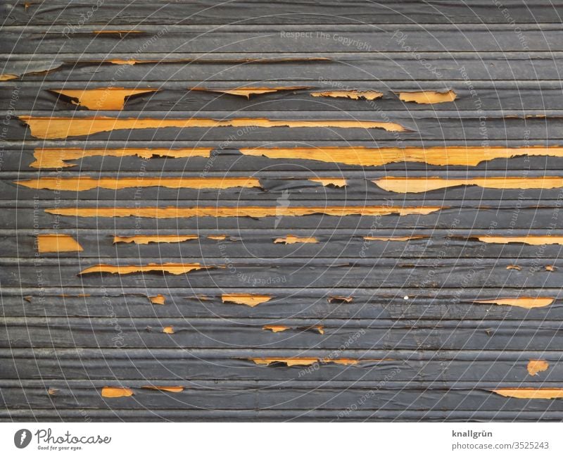 Old dark wooden roller shutter, where the colour peels off and light wood becomes visible Screening Flake off Weathered Layer of paint Structures and shapes