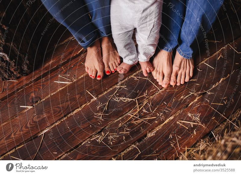 Bare feet of family members-mother, father and child. Wooden floor baby beautiful boy care caucasian childhood closeup concept cute foot happy health infant leg