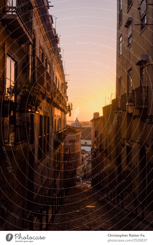 Sunset in the streets of Lisbon voyage Tourism Vacation & Travel Exterior shot Serene Destination Travel photography South Colour photo Card Romance Europe