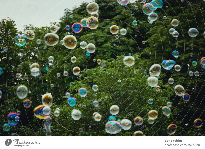 Soap bubbles floating everywhere , in many colors.in the background are bushes. soap bubbles Exterior shot Colour photo Day Deserted Sky Summer