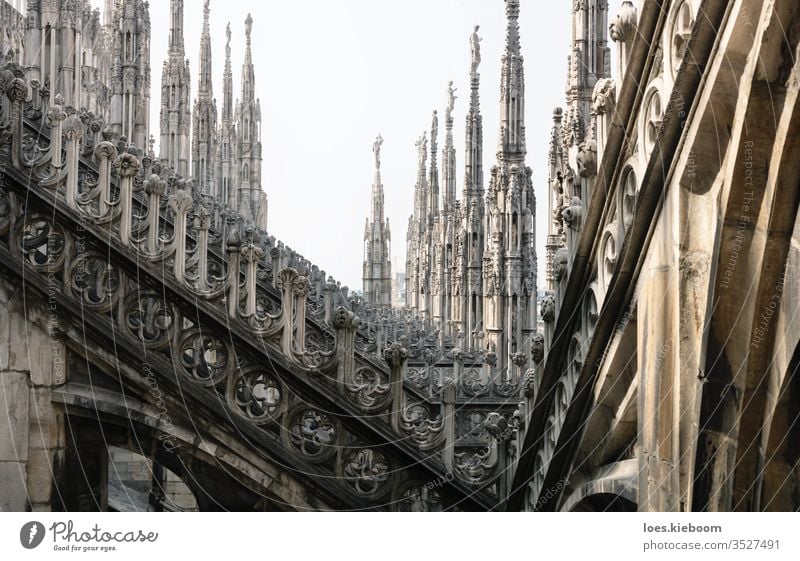 Rows of gothic towers of the Cathedral of Milan, Italy milan cathedral architecture italy statue landmark church city building travel roof duomo europe view