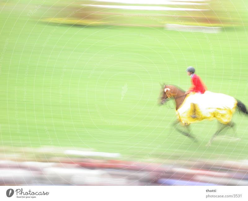 1 HP Horse Show jumping Aachen Speed Sports Equestrian sports riding tournament Movement