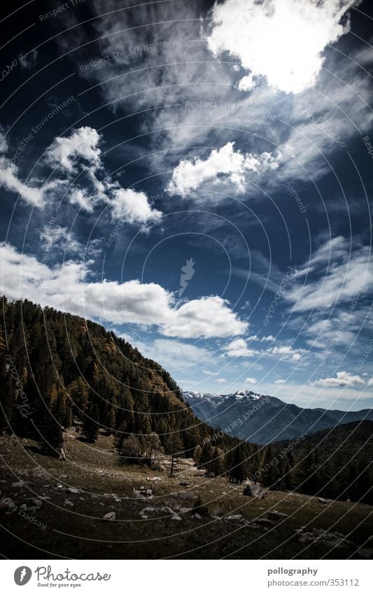 mother nature 2 Environment Nature Landscape Plant Sky Clouds Sun Sunlight Summer Climate Beautiful weather Tree Grass Bushes Meadow Forest Hill Rock Alps