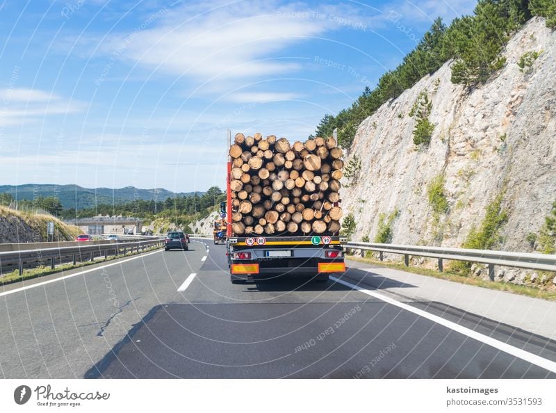 Truck carrying wood on motorway. truck timber transportation highway road forest log logging lorry industry tree heavy vehicle commodities equipment pine nature