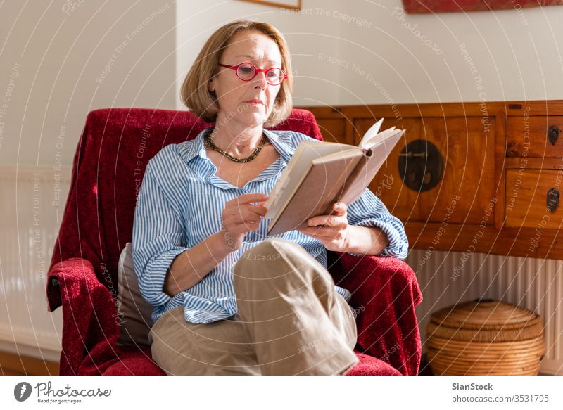 Elegant mature woman is reading a book at home reading book elderly woman relaxing at home knowledge modern wellbeing middle holding looking armchair sitting