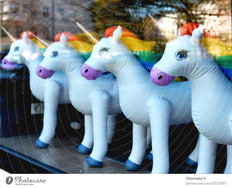 Unicorns | Inflatable unicorns with rainbow mane, lined up in a shop window. Reflections. Prismatic colors Golden Horn Shop window facade Rainbow reflections