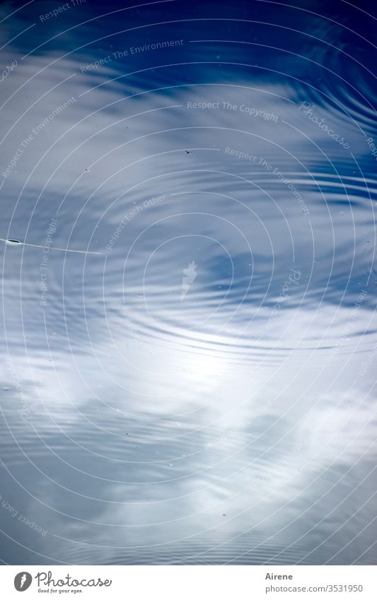 Rain brings blessing Water Sky Reflection Lake Pond Bird's-eye view Weather Climate raindrops Drop circles Blue White Clouds Blue sky windless Surface of water