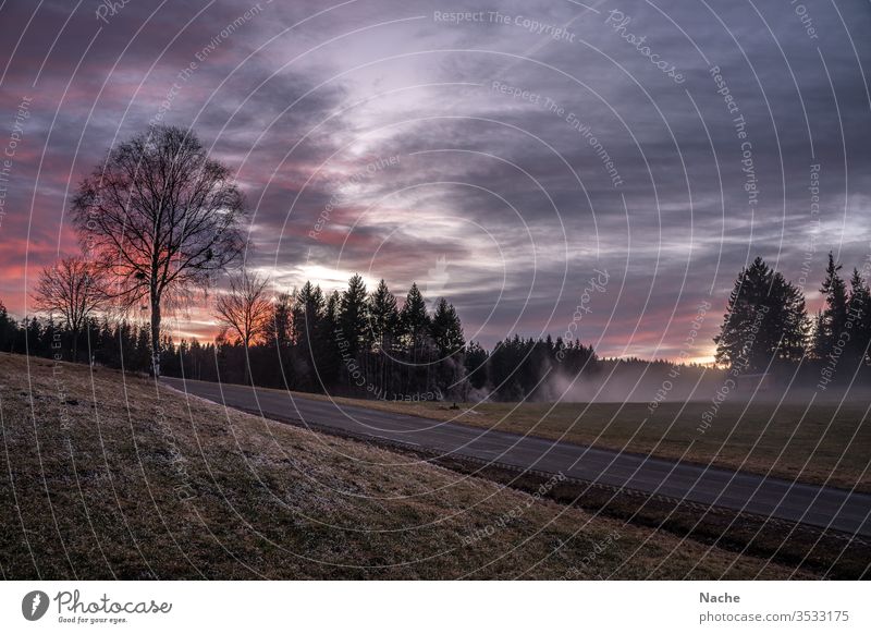 Sunset in cold foggy landscape with road near Triberg in the Black Forest Fog chill January Street Landscape Winter Frost Mystic Snow Deserted Ice Nature Sky