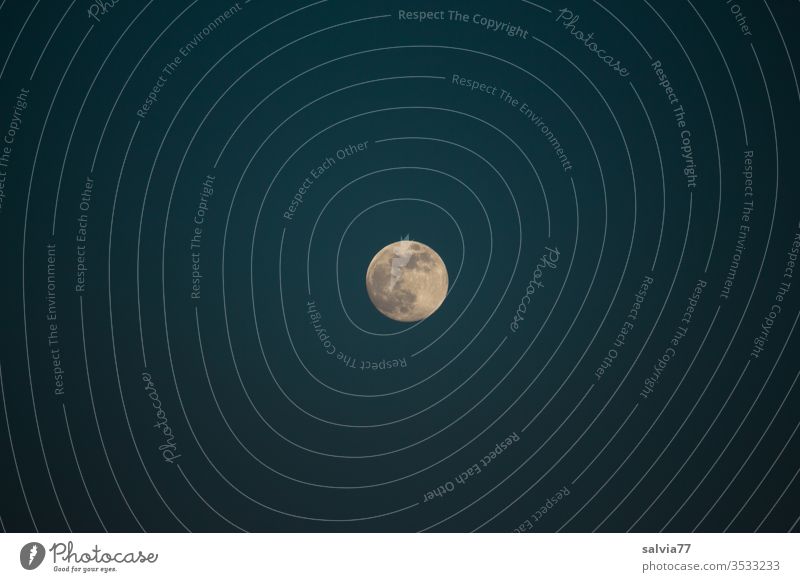 full moon Moon Full  moon Night sky Nature Sky conceit Moonlight Deserted Contrast Center point