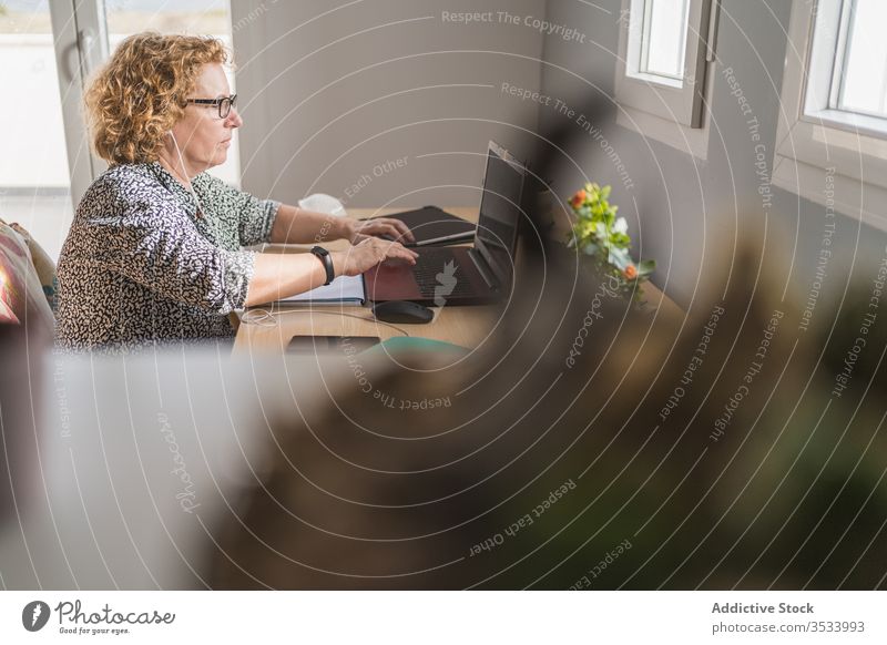 Adult woman working on laptop in room decorated with cactuses in pots plant using freelance home earphones internet remote distance business computer netbook