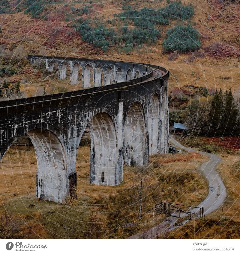 Viaduct in Scotland in autumn; film location Harry Potter movies Europe Great Britain Autumn Colour photo Exterior shot Nature Deserted Landscape Day