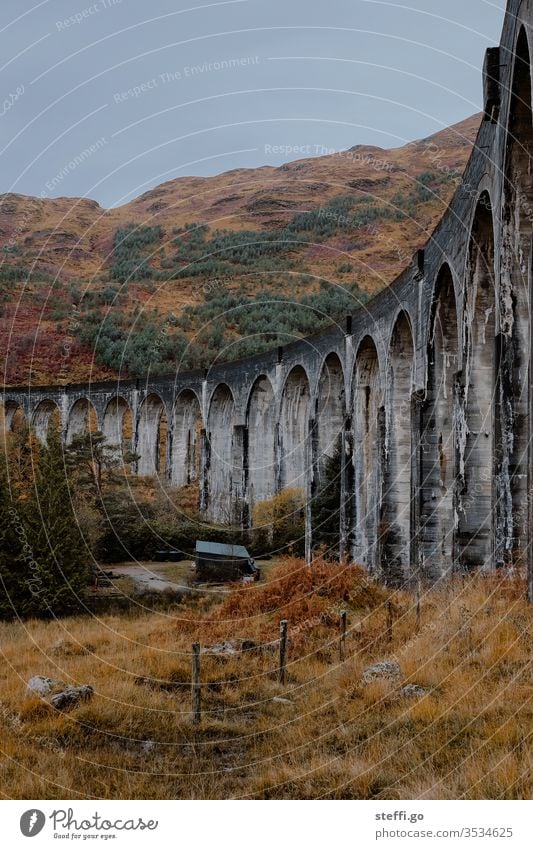 Viaduct in Scotland in autumn from below; film location Harry Potter movies Europe Great Britain Autumn Colour photo Exterior shot Nature Deserted Landscape Day