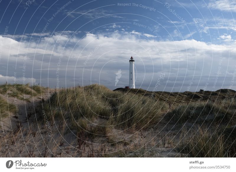 Lighthouse Lyngvig Fyr in the dunes of Hvide Sande Denmark Scandinavia Scandinavian Hvide Sands Vantage point Exterior shot North Sea Landscape