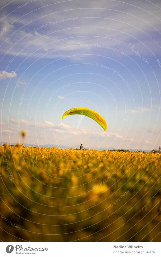 Dry practice in paragliding Paragliding Paraglider Glide tutorial Meadow Flying Sports Sky Freedom Blue Leisure and hobbies Extreme sports Colour photo Fear