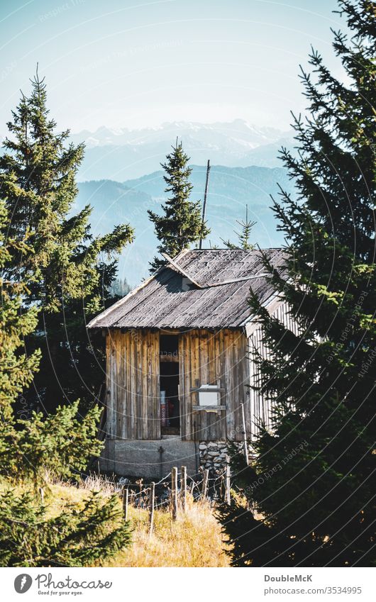 A deserted hut framed by fir trees with the Bavarian Alps in the background mountain Mountain Sky Blue Landscape Nature Exterior shot Colour photo Day