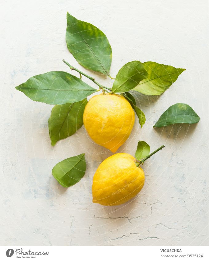 Ripe lemons with green leaves  composition on white desktop background , top view. Organic citrus fruits. Flat lay. Healthy food concept. ripe organic flat lay