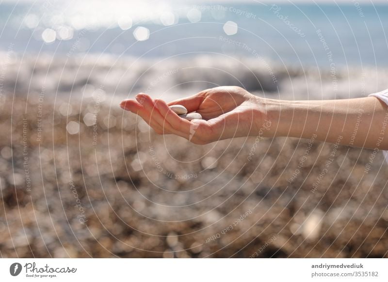 female hand holding small pebble stones in hand near blue sea on a beach background, picking up pebbles on the stone beach, round shape pebbles, summer vacation souvenir, beach day, selective focus