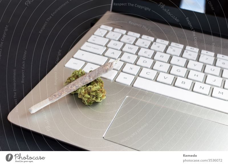 Big marijuana joint and cannabis buds on laptop on black background, Concept of cannabis and technology. computer smoke office weed isolate roll home desk